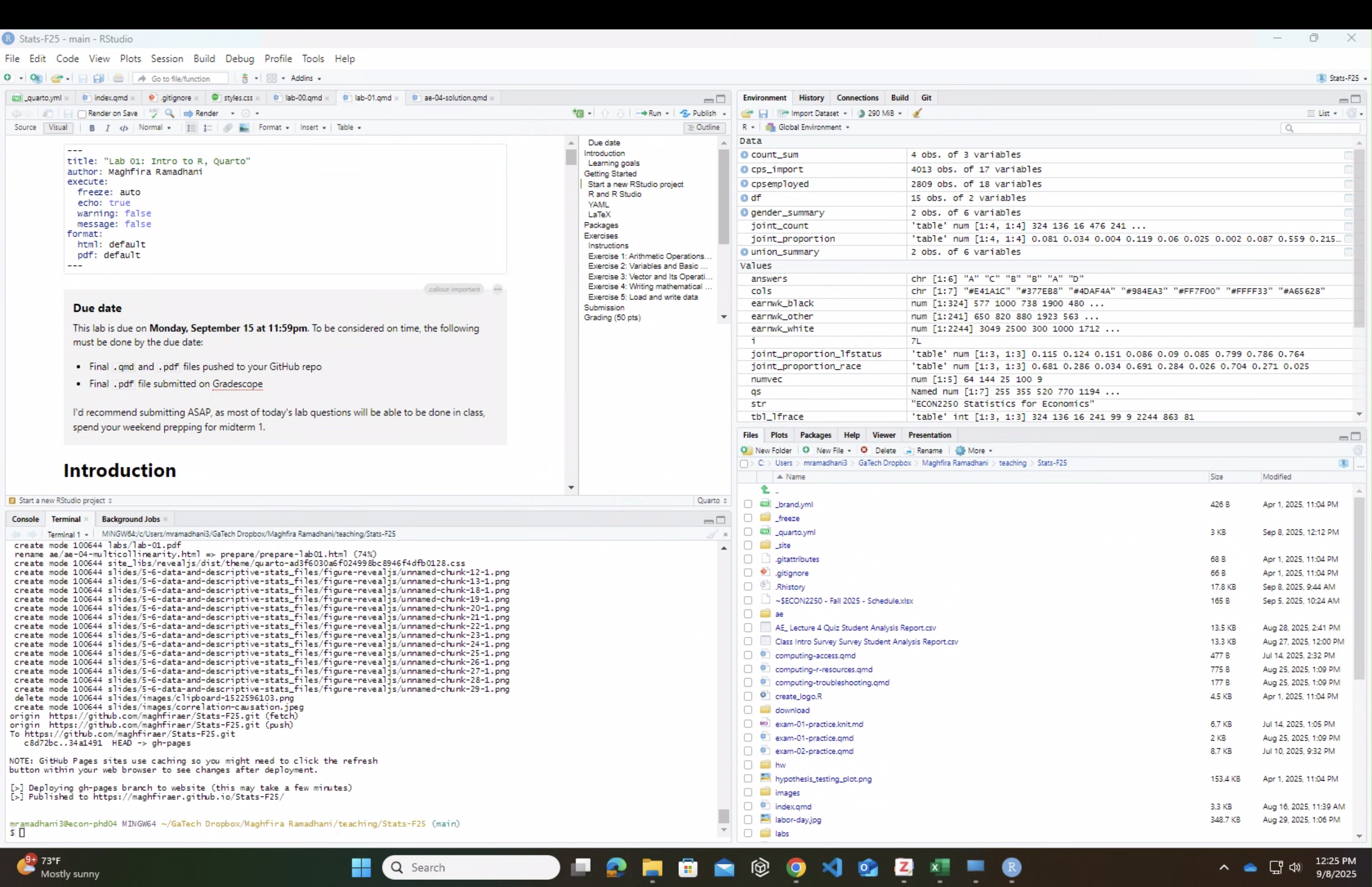 Screenshot of RStudio IDE